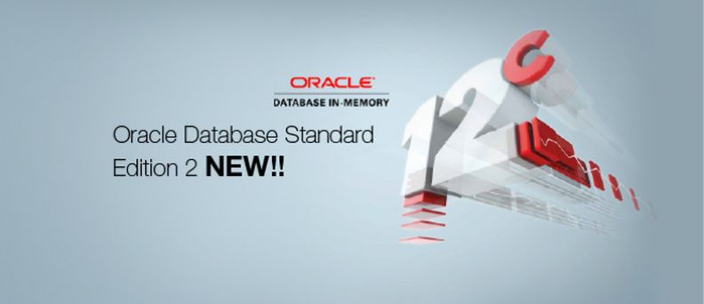 Conheça o Oracle Standard Edition 2